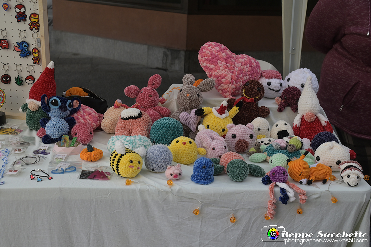 VBS_6626 - Mercatino dell'Antiquariato e dell'Hobbismo - Ottobre 2023.jpg